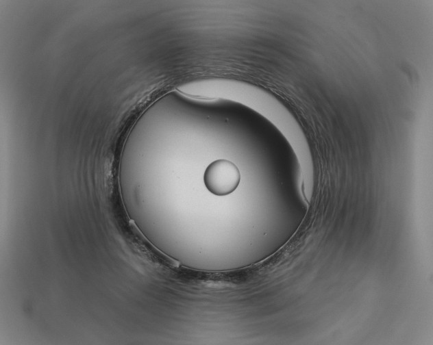 X0000113110360200909181633