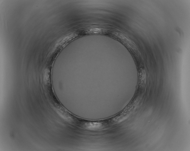 X0000113110361200909181633