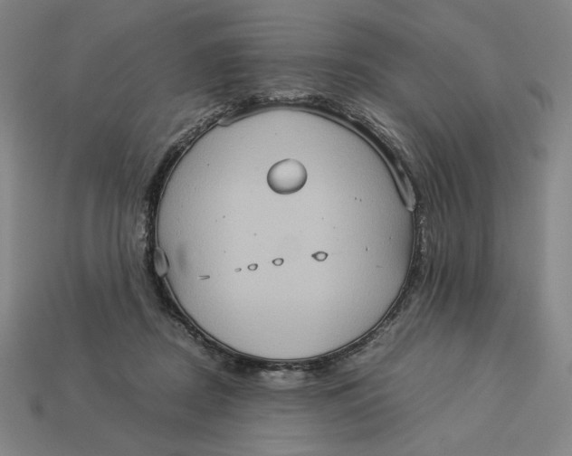 X0000113110362200909181633
