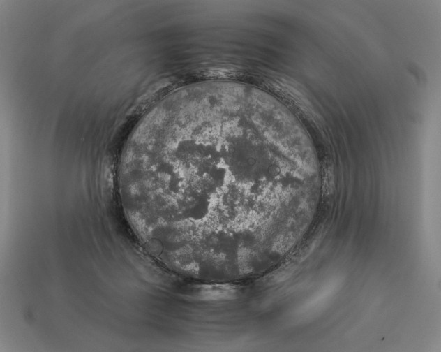 X0000113110363200909181633