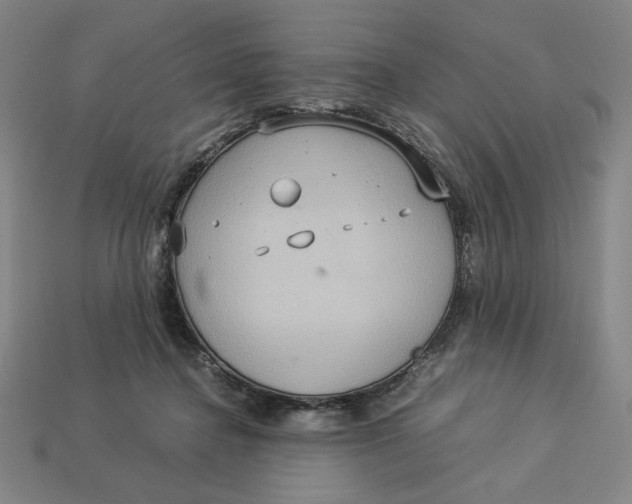 X0000113110364200909181633
