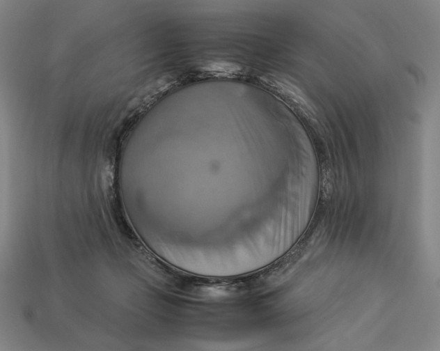 X0000113110365200909181633