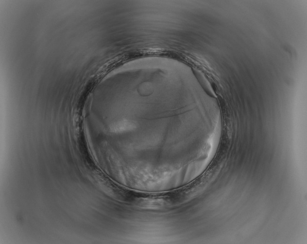 X0000113110366200909181633