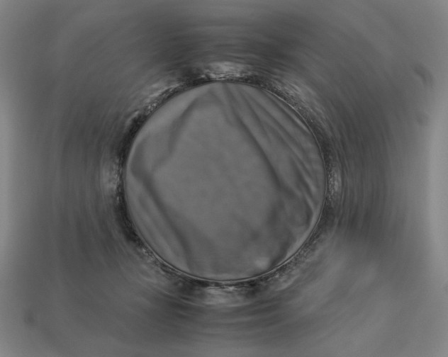 X0000113110367200909181633