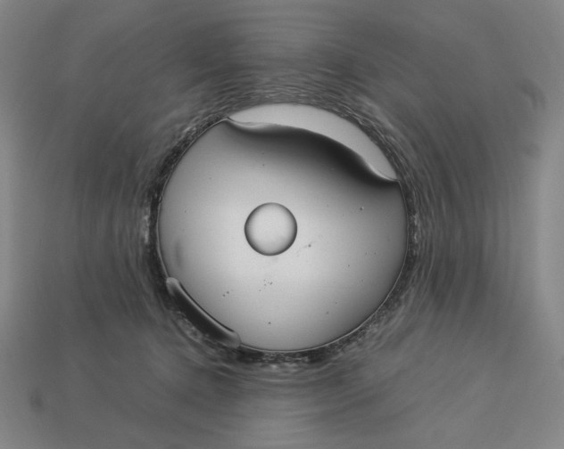X0000113110368200909181633