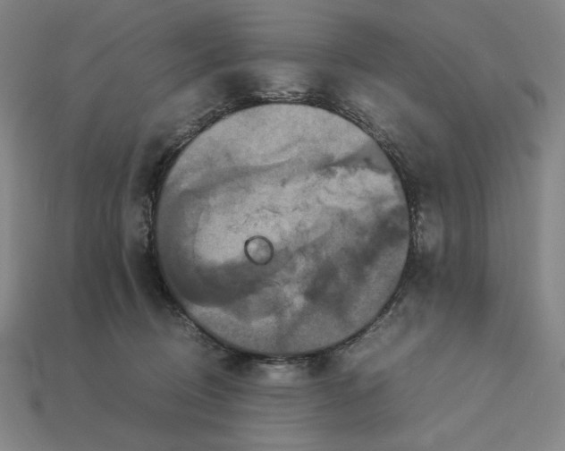 X0000113110370200909181633