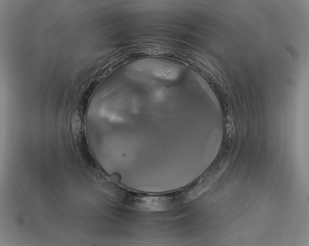 X0000113110371200909181633