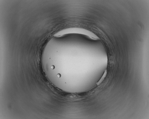 X0000113110372200909181633
