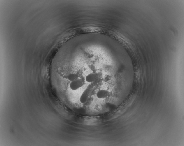 X0000113110373200909181633
