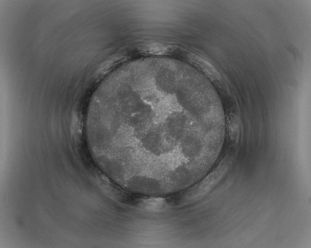 X0000113110374200909181633