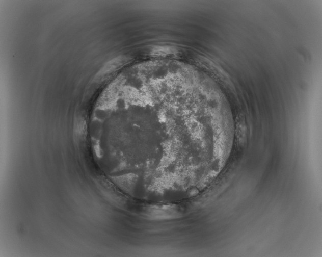 X0000113110375200909181633