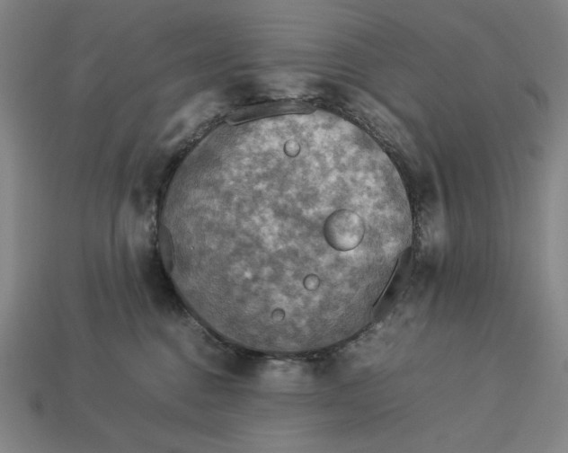 X0000113110376200909181633