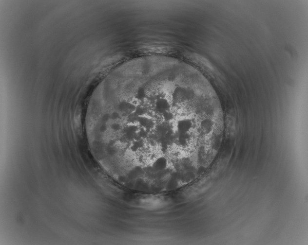 X0000113110377200909181633