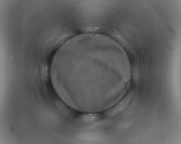 X0000113110378200909181633