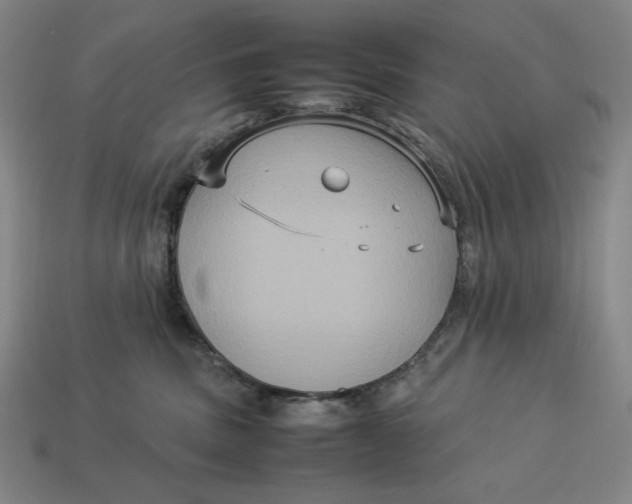 X0000113110379200909181633