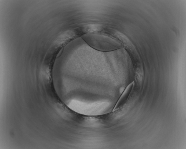 X0000113110380200909181633