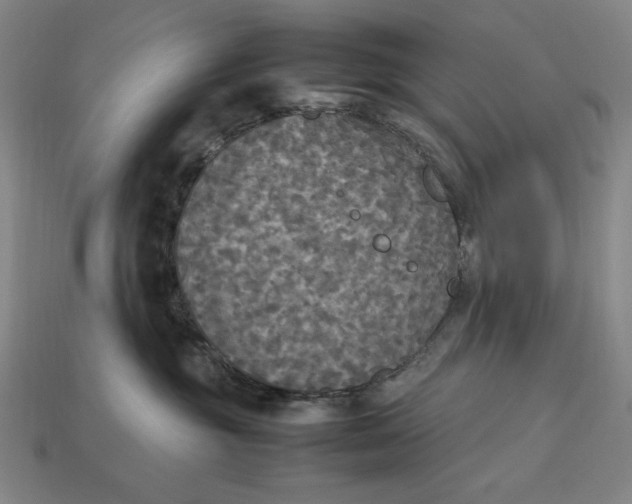 X0000113110381200909181633