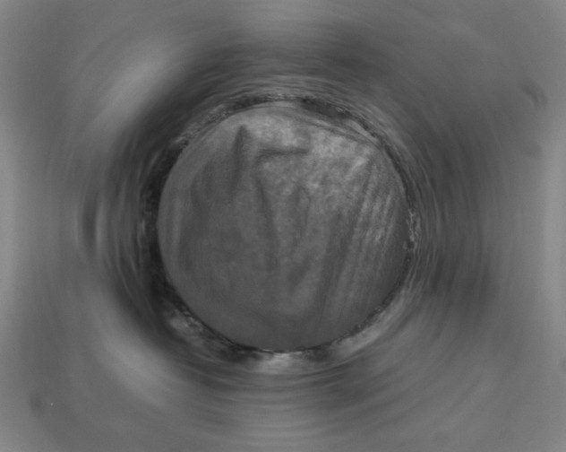 X0000113110382200909181633