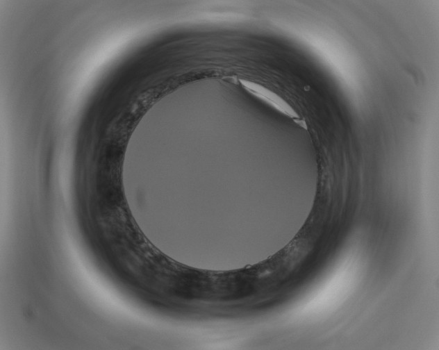 X0000113110383200909181633