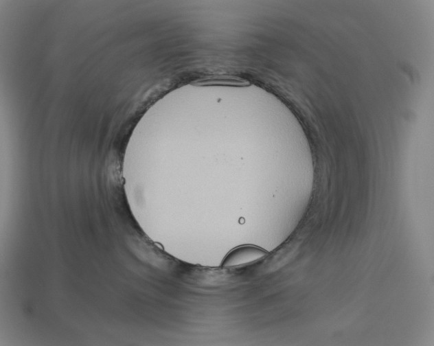 X0000113110384200909181633