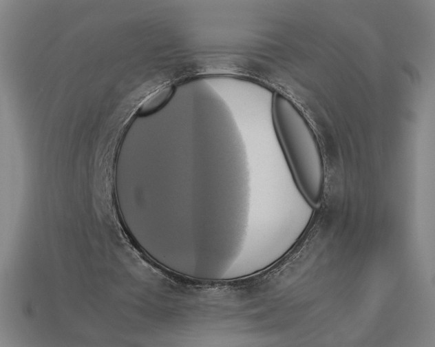 X0000113110385200909181633