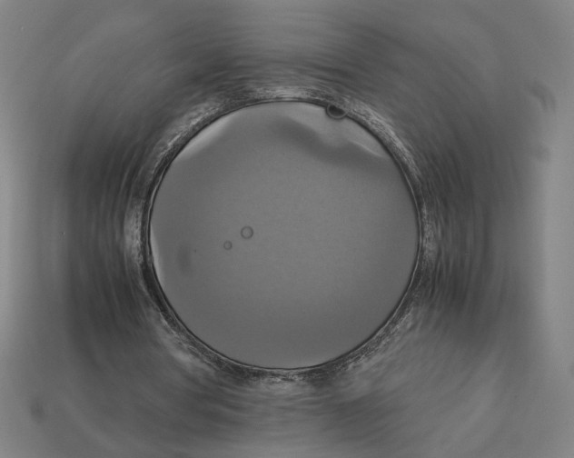 X0000113110386200909181633