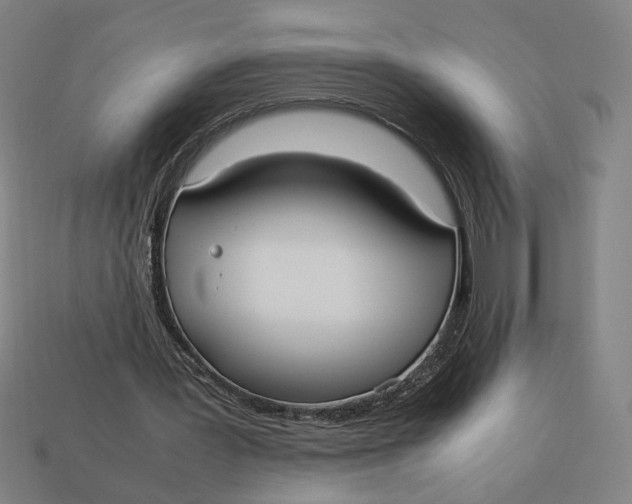 X0000113110387200909181633