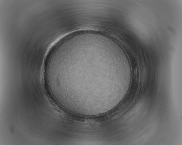 X0000113110388200909181633