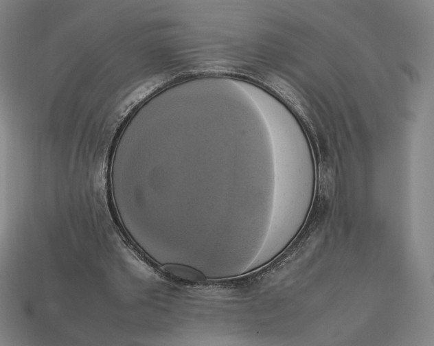 X0000113110389200909181633
