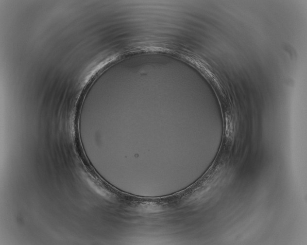 X0000113110390200909181633