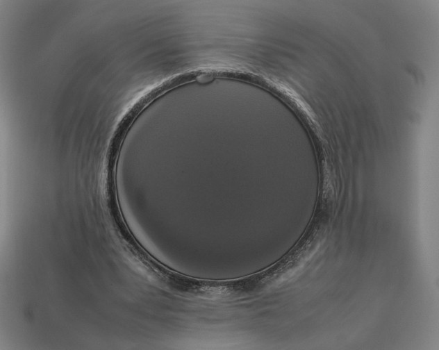 X0000113110391200909181633