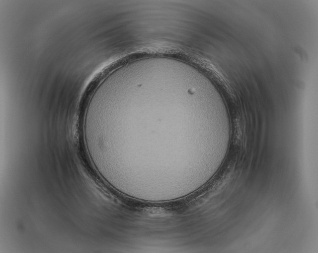 X0000113110392200909181633