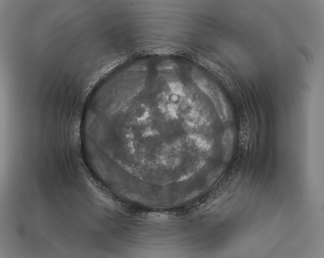 X0000113110394200909181633