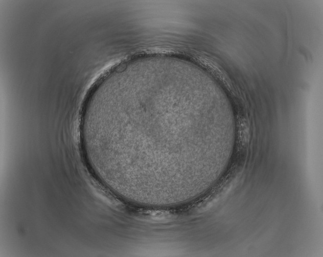 X0000113110395200909181633