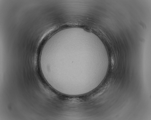 X0000113110396200909181633