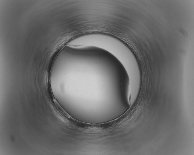 X0000113110397200909181633