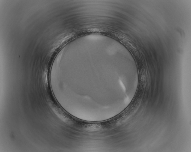 X0000113110398200909181633