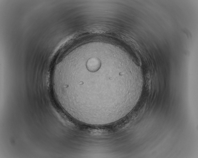 X0000113110400200909181633