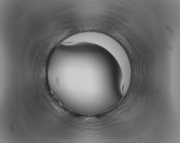 X0000113110401200909181633