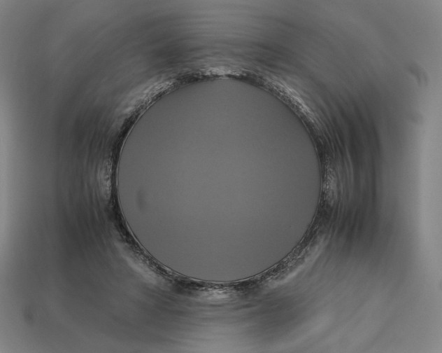 X0000113110402200909181633