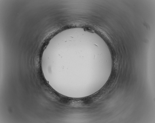 X0000113110403200909181633