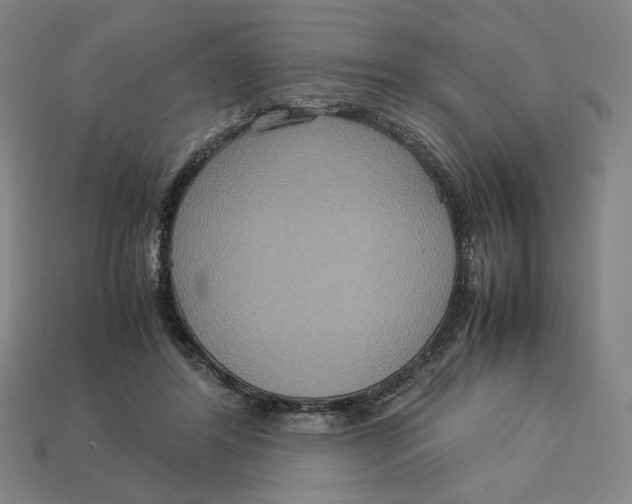 X0000113110404200909181633
