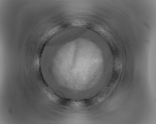 X0000113110405200909181632