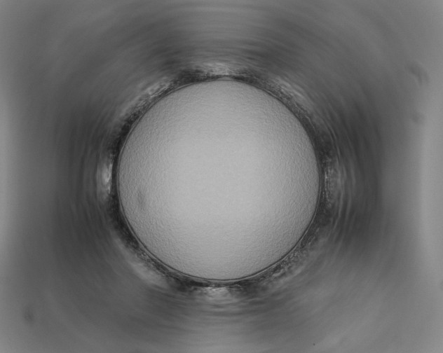 X0000113110406200909181632