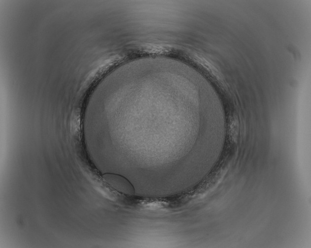 X0000113110407200909181632