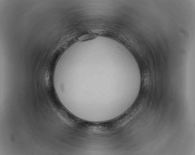 X0000113110408200909181632