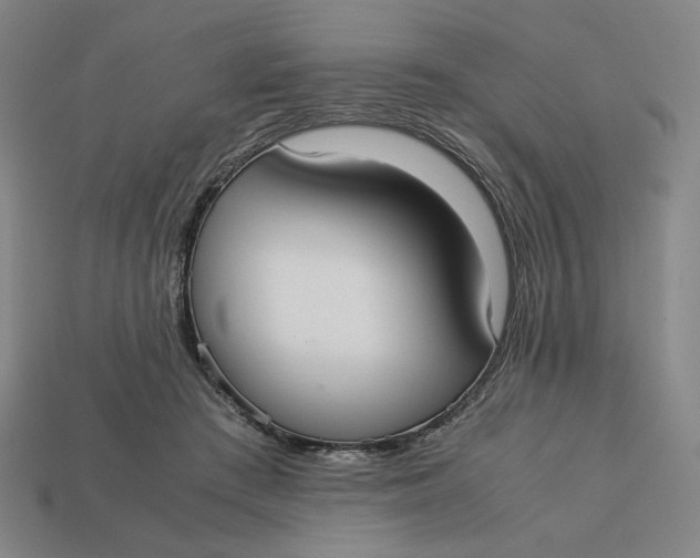 X0000113110409200909181632