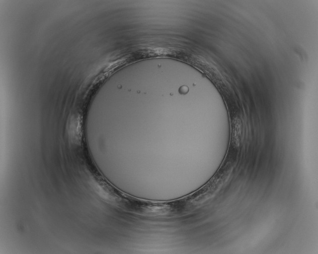X0000113110410200909181632