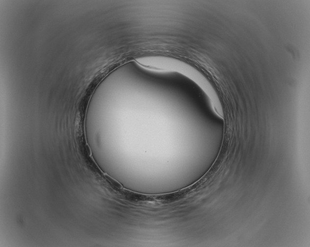 X0000113110411200909181632
