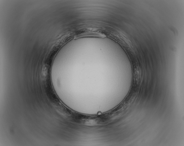 X0000113110412200909181632
